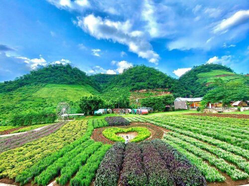Tour Huế - Mộc Châu - Mai Châu - Mega Grandworld Hưng Yên - Hà Nội (3 Ngày 4 Đêm)