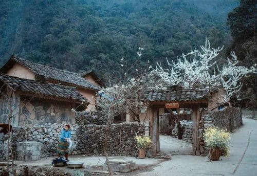 Tour khám phá Hà Giang (3 Ngày 4 Đêm)