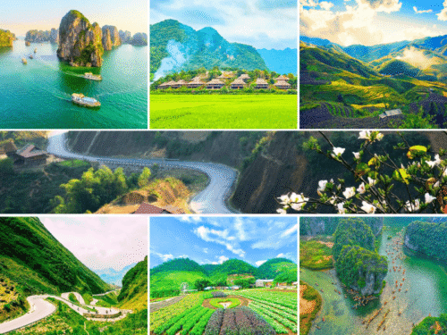 List tour đoàn miền Bắc