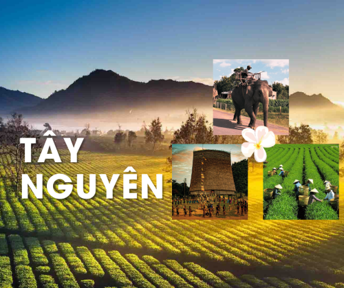 Tour Quảng Trị - Kon Tum - Pleiku - Buôn Mê Thuột - Măng Đen - Quảng Trị (5 Ngày 4 Đêm)