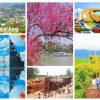 Tour Quảng Trị - Đà Nẵng - Đà Lạt Ngàn Hoa - Quảng Trị (3 Ngày 2 Đêm)